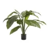 Spathiphyllum Potted 66cm -Household Items Shop 943241140 1 720x928