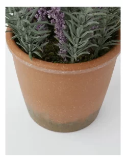 Faux Lavender Plant In Pot 37cm In Purple -Household Items Shop 952156630 3 1 720x928