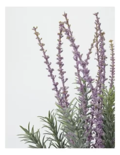 Faux Lavender Plant In Pot 37cm In Purple -Household Items Shop 952156630 4 1 720x928
