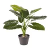 Artificial Taro Faux Plant 60cm In Green 1 Artificial Taro Faux Plant 60cm In Green -Household Items Shop 954960760 1 720x928