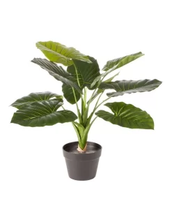 Artificial Taro Faux Plant 60cm In Green