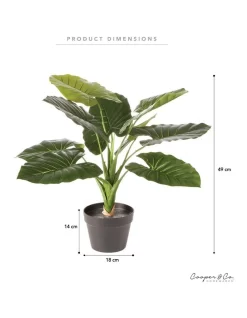 Artificial Taro Faux Plant 60cm In Green -Household Items Shop 954960760 3 720x928