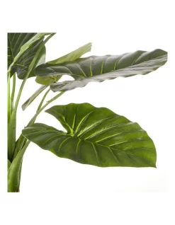 Artificial Taro Faux Plant 60cm In Green -Household Items Shop 954960760 4 720x928