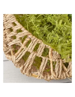 Set Of 2 Hart Wall Plant Holder In Natural -Household Items Shop 954989830 5 720x928