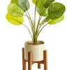 Artificial Taro Plant In Ceramic Pot 75cm In Green/White 2 Artificial Taro Plant In Ceramic Pot 75cm In Green/White -Household Items Shop 954993790 1 720x928