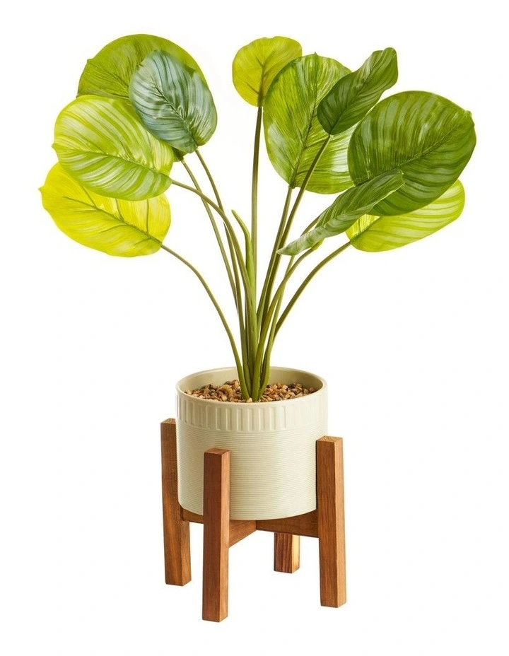 Artificial Taro Plant In Ceramic Pot 75cm In Green/White 3 Artificial Taro Plant In Ceramic Pot 75cm In Green/White