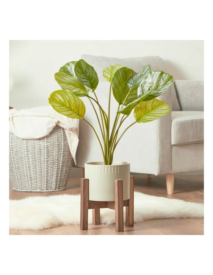 Artificial Taro Plant In Ceramic Pot 75cm In Green/White 4 Artificial Taro Plant In Ceramic Pot 75cm In Green/White - Image 2