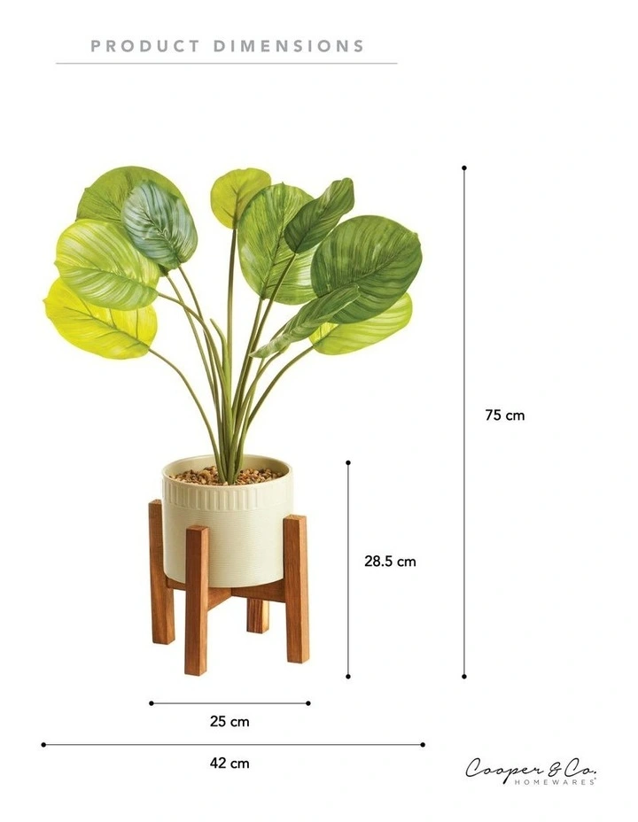 Artificial Taro Plant In Ceramic Pot 75cm In Green/White 5 Artificial Taro Plant In Ceramic Pot 75cm In Green/White - Image 3