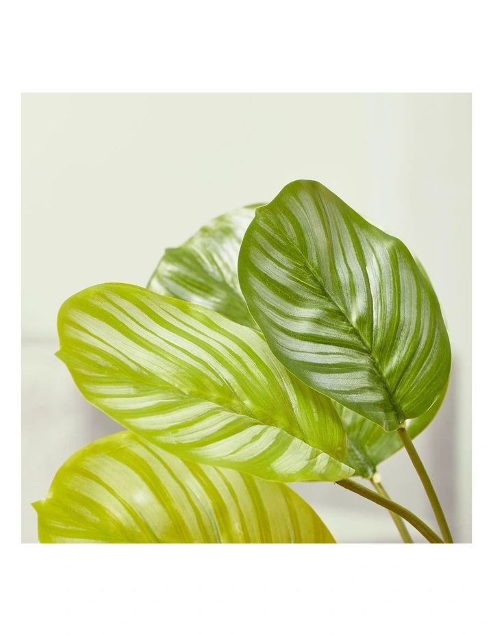 Artificial Taro Plant In Ceramic Pot 75cm In Green/White 6 Artificial Taro Plant In Ceramic Pot 75cm In Green/White - Image 4