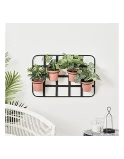 Nova Wall Hanging Planter Pots In Black -Household Items Shop 954996040 4 720x928