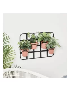 Nova Wall Hanging Planter Pots In Black -Household Items Shop 954996040 5 720x928