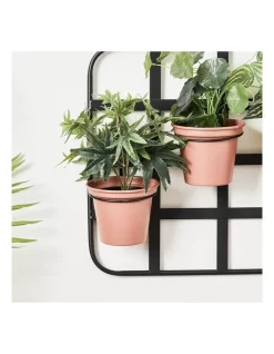 Nova Wall Hanging Planter Pots In Black -Household Items Shop 954996040 6 720x928