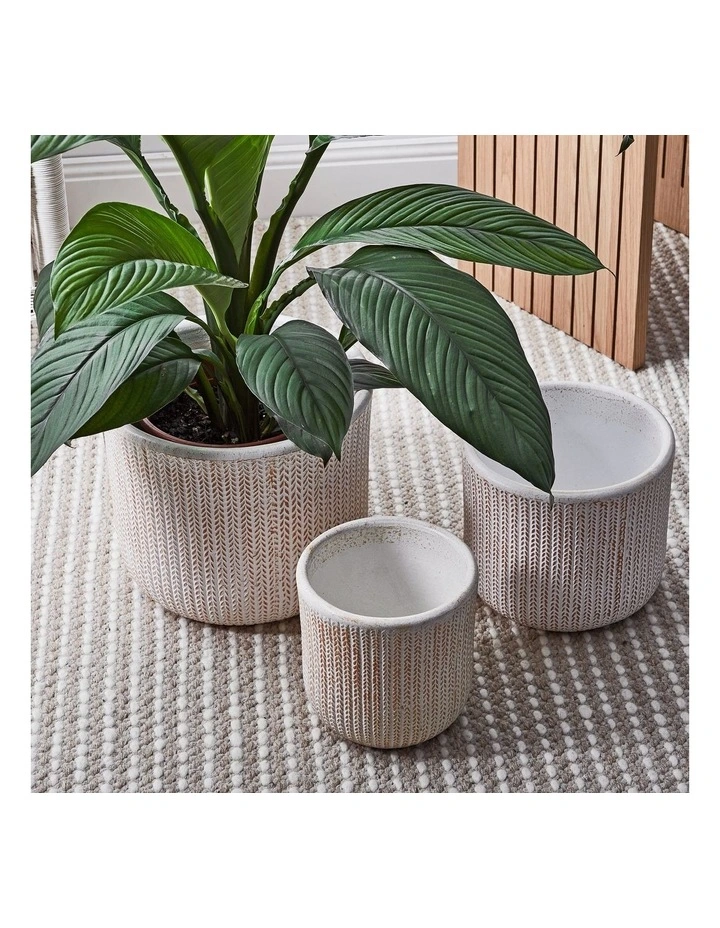 Izzy Terracotta Planter Pots Set Of 3 In Bronze 8 Izzy Terracotta Planter Pots Set Of 3 In Bronze - Image 6