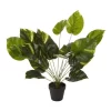 Artificial Golden Pothis Plant 55cm In Green -Household Items Shop 955005760 1 720x928