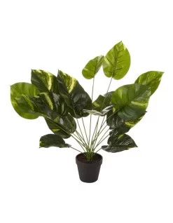 Artificial Golden Pothis Plant 55cm In Green