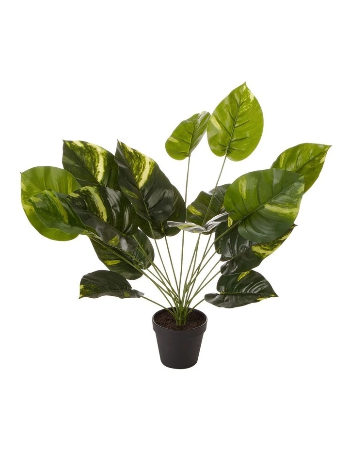 Artificial Golden Pothis Plant 55cm In Green 3 Artificial Golden Pothis Plant 55cm In Green