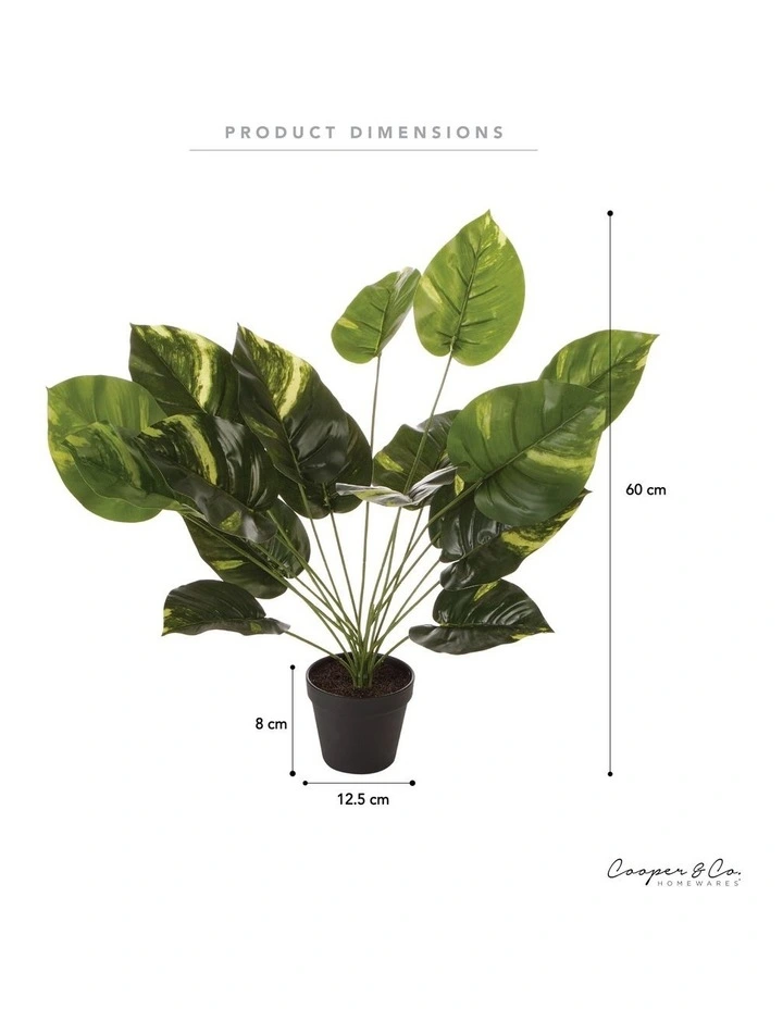 Artificial Golden Pothis Plant 55cm In Green 5 Artificial Golden Pothis Plant 55cm In Green - Image 3