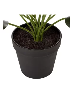 Artificial Golden Pothis Plant 55cm In Green 11 Artificial Golden Pothis Plant 55cm In Green -Household Items Shop 955005760 4 720x928