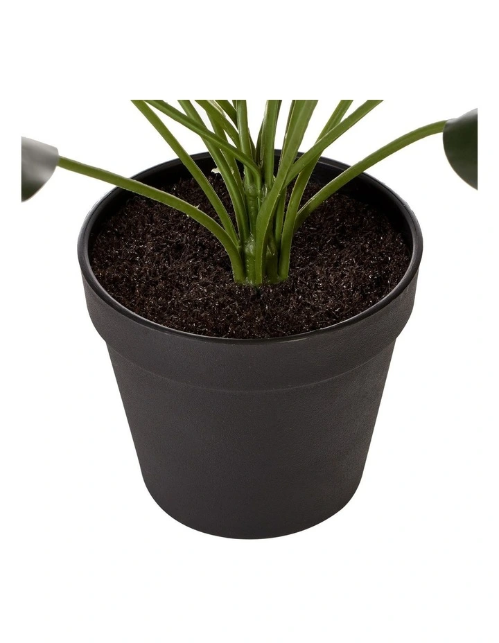 Artificial Golden Pothis Plant 55cm In Green 6 Artificial Golden Pothis Plant 55cm In Green - Image 4