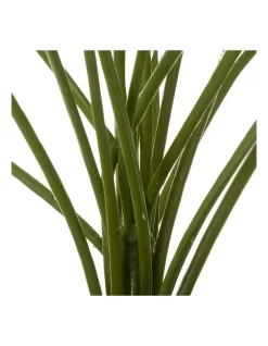 Artificial Golden Pothis Plant 55cm In Green 13 Artificial Golden Pothis Plant 55cm In Green -Household Items Shop 955005760 6 720x928