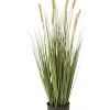 Foxtail 91cm In Green -Household Items Shop 955011790 1 720x928