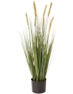 Foxtail 91cm In Green