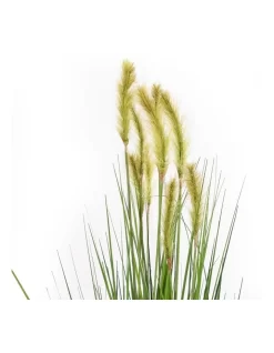 Foxtail 91cm In Green 12 Foxtail 91cm In Green -Household Items Shop 955011790 4 720x928