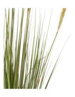 Foxtail 91cm In Green 14 Foxtail 91cm In Green -Household Items Shop 955011790 6 720x928