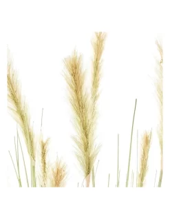 Foxtail 91cm In Green 15 Foxtail 91cm In Green -Household Items Shop 955011790 7 720x928