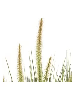 Artificial Onion Grass Green Tail 76cm -Household Items Shop 955012240 7 720x928