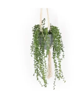Artificial Pearl Hanging Potted Plant 90cm In Green 15 Artificial Pearl Hanging Potted Plant 90cm In Green -Household Items Shop 955013230 7 720x928