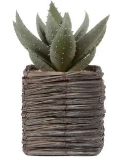 Aloe Vera Artificial Plant In Basket 29cm In Green