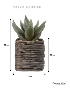 Aloe Vera Artificial Plant In Basket 29cm In Green 10 Aloe Vera Artificial Plant In Basket 29cm In Green -Household Items Shop 955014490 3 720x928