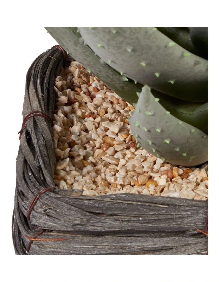 Aloe Vera Artificial Plant In Basket 29cm In Green 6 Aloe Vera Artificial Plant In Basket 29cm In Green - Image 4