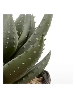 Aloe Vera Artificial Plant In Basket 29cm In Green 13 Aloe Vera Artificial Plant In Basket 29cm In Green -Household Items Shop 955014490 6 720x928