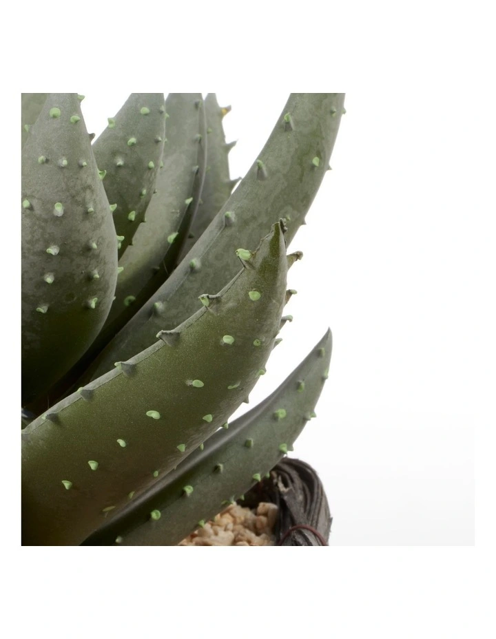Aloe Vera Artificial Plant In Basket 29cm In Green 8 Aloe Vera Artificial Plant In Basket 29cm In Green - Image 6