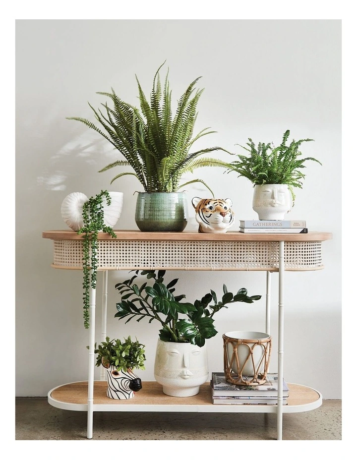 Airlie Small Face Planter 16x16x15cm In Off White 4 Airlie Small Face Planter 16x16x15cm In Off White - Image 2