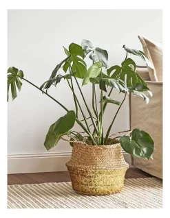 Carrie Sequin Seagrass Baskets Set Of 2 In Natural -Household Items Shop 978398830 6 720x928