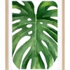 Profile Australian Made Monstera Leaf Art Print A3 Natural Frame -Household Items Shop 995231980 1 720x928